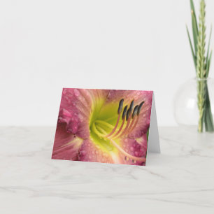 Mauve Lily Bloom in de regen - Wenskaart Kaart