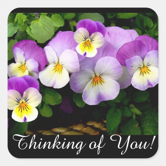  Mauve Pansy Thinking of You Vierkante Sticker (Voorkant)