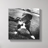 maverick canvas afdruk (Voorkant)