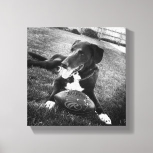 maverick canvas afdruk