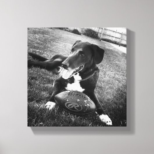 maverick canvas afdruk (Voorkant)