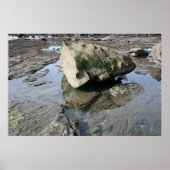 Mavericks Poster (Voorkant)