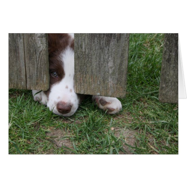 Max. (Devant horizontal)