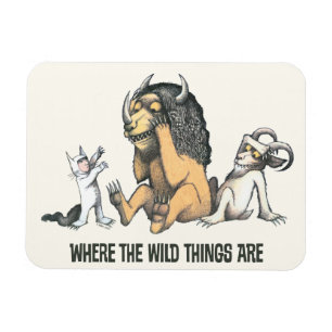 Max en de wilde dingen spelen magneet