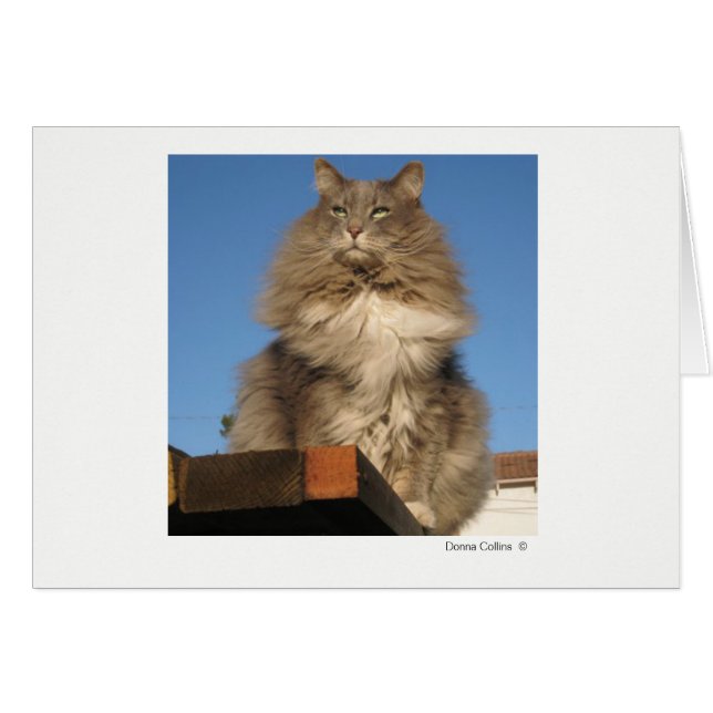 Max. kat   #-4 (Voorkant Horizontaal)