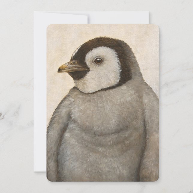 Max la carte plate du pingouin (Devant)