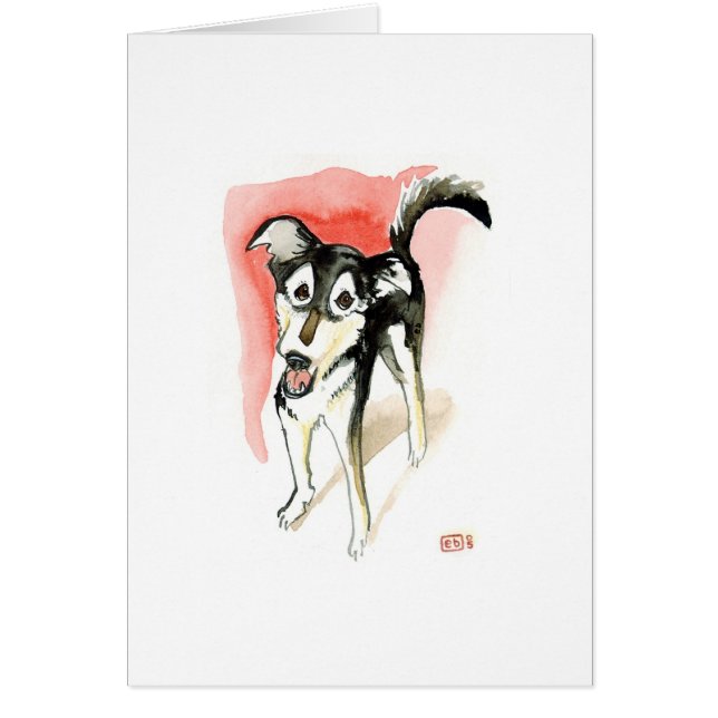 Max. nr. 1 (Voorkant)