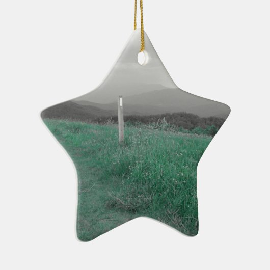 Max Patch Keramisch Ornament (Rechts)