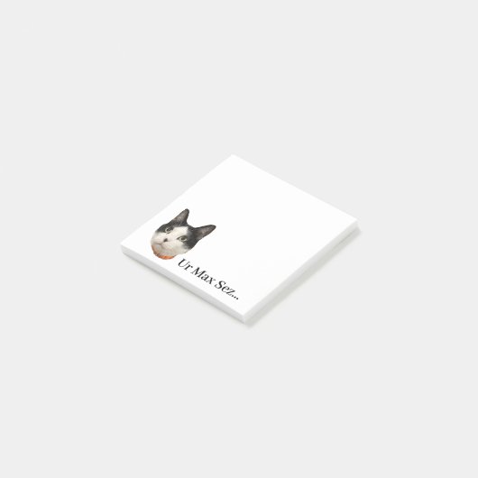 Max Post-its Post-it® Notes (Schuin)