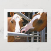 Max & zijn zoon Leonardo Briefkaart (Voorkant / Achterkant)