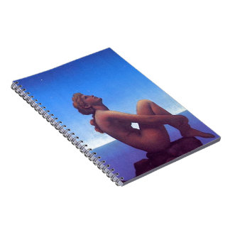 "Maxfield Parrish Stars" Notitieboek