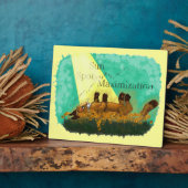 Maximalisatie van Sun Spot Fotoplaat (Zijkant)