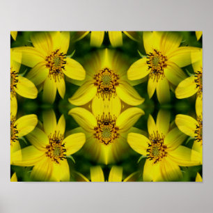Maximillian Sunflower Abstract Poster