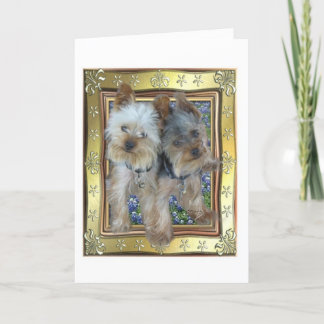 Maximum en Kaart Zach