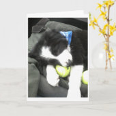 Maximum jong kaart (Gele Bloem)