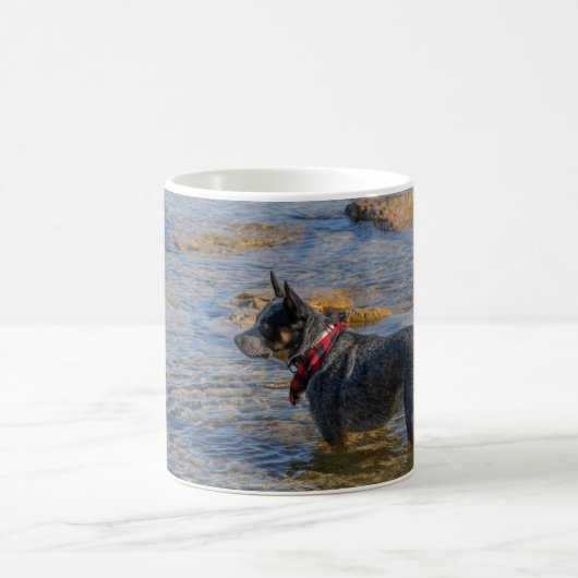 "Maximus" Bleu Heeler Coffee Mug (Centre)