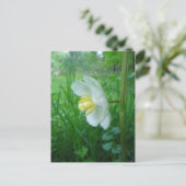 May Apple Blossom briefkaart (Staand voorkant)