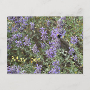 May Bee Briefkaart