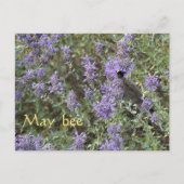 May Bee Briefkaart (Voorkant)