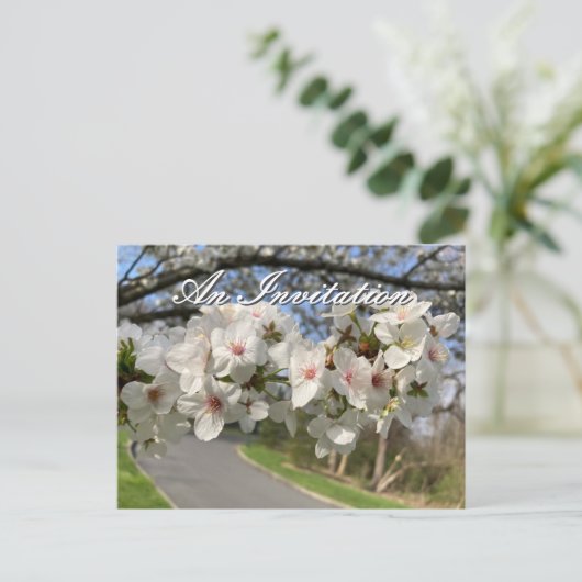 May Flowers Invitation Postcard (Debout devant)