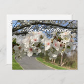 May Flowers Invitation Postcard (Devant / Derrière)