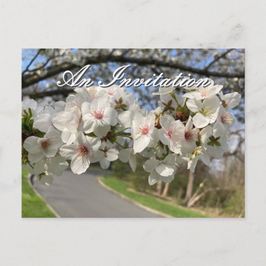 May Flowers Invitation Postcard Briefkaart (Voorkant)