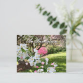 May Flowers Pink Invitation Postcard (Debout devant)