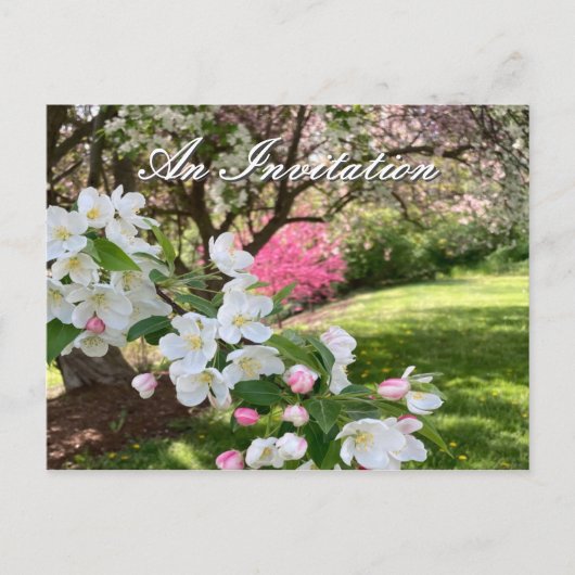 May Flowers Pink Invitation Postcard (Devant)