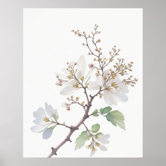 May Hawthorn Geboorte Bloem Poster (Voorkant)