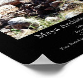 Maya Architecture - Labna Poster (Hoek)