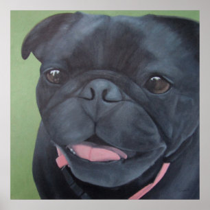 Maya Black Pug Dog Poster