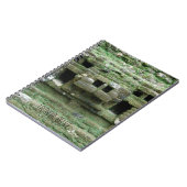 Maya Jaguar Temple Lamanai Belize Travel Journal (Côté gauche)