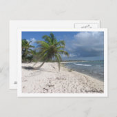 Mayan Riviera Briefkaart (Voorkant / Achterkant)