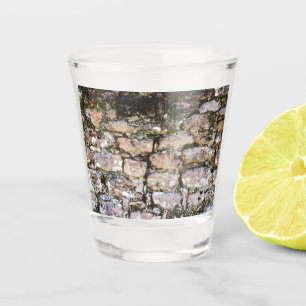 Mayan Ruïnes Muur Shot Glas