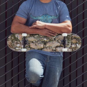 Mayan Ruïnes Muur Skateboard