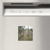 Mayan Ruins op Lamanai, Belize Magneet (Insitu (Vaatwasser))