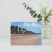 Mayaro Beach - Carte postale Pêche début matin (Debout devant)