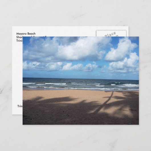 Mayaro Beach Shadows of Coconut Trees Briefkaart (Voorkant / Achterkant)