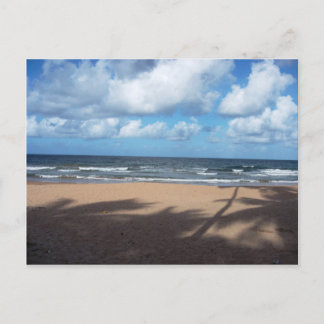 Mayaro Beach Shadows of Coconut Trees Briefkaart