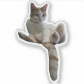 Maybe You Should Cover That Up? Cat Sticker (Voorkant)