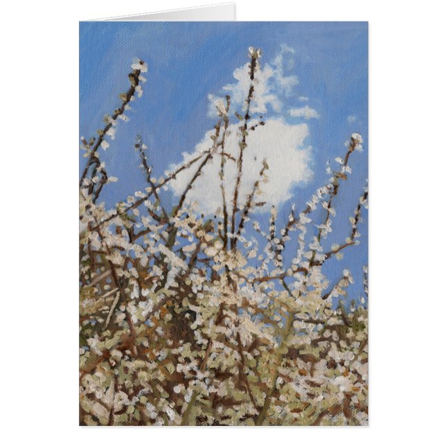 Mayflower 2012 (Devant)