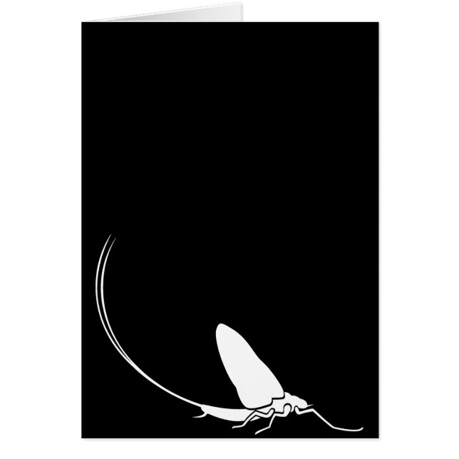 Mayfly (Voorkant)