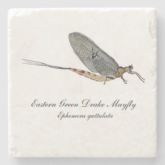 Mayfly Onderzetter (Voorkant)