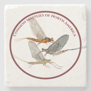 Mayfly Onderzetters