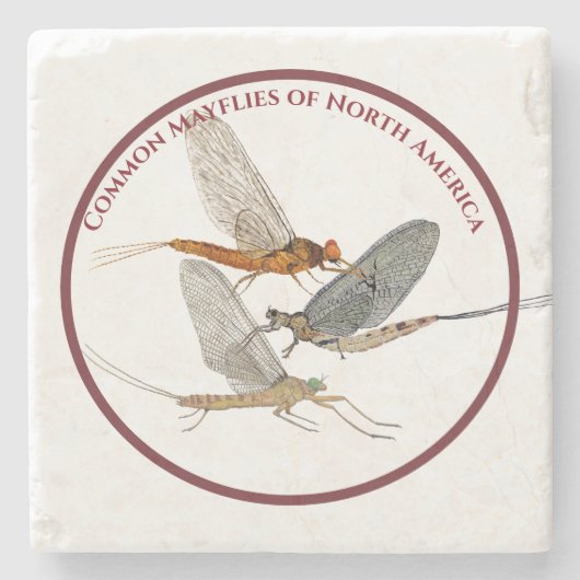 Mayfly Onderzetters (Voorkant)
