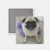 Maylene Magnet Magneet (Voorkant / Achterkant)