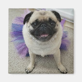 Maylene Magnet Magneet (Voorkant)