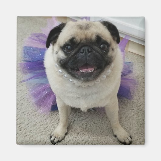 Maylene Magnet Magneet (Voorkant)