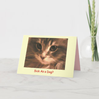 Maynard Maine Coon2, Zieken als… - Kaart