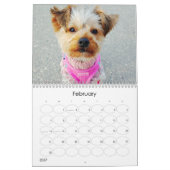 Mayzie Calendrier II (Style 2022) (Feb 2027)
